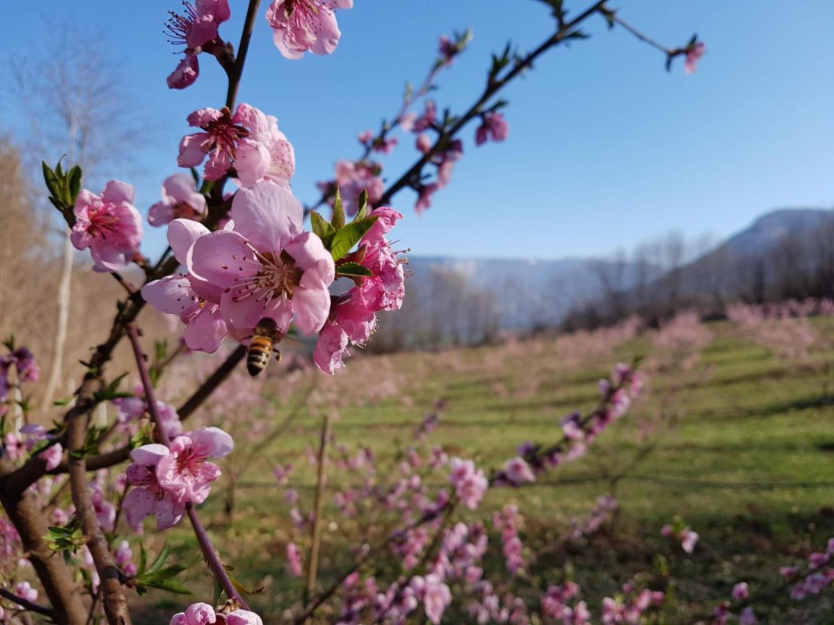 Agriturismo La Giasena Ponte nellʼAlpi Eksteriør billede